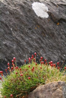 IMG_6972 IMG_6972