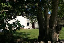 IMG_7269 IMG_7269